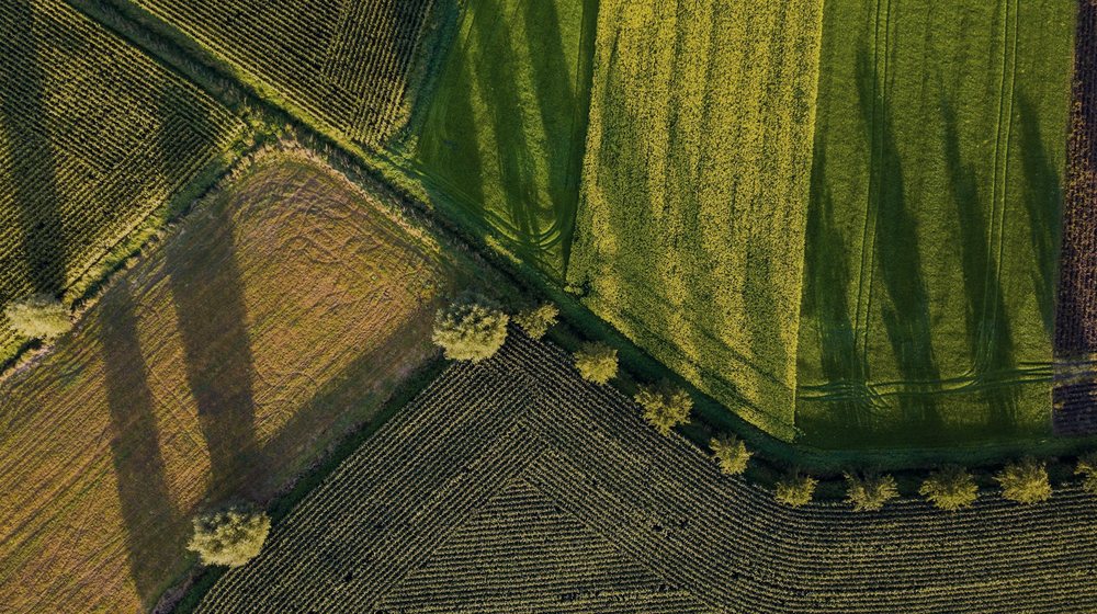 Vista aérea de lotes agrícolas separados por caminos